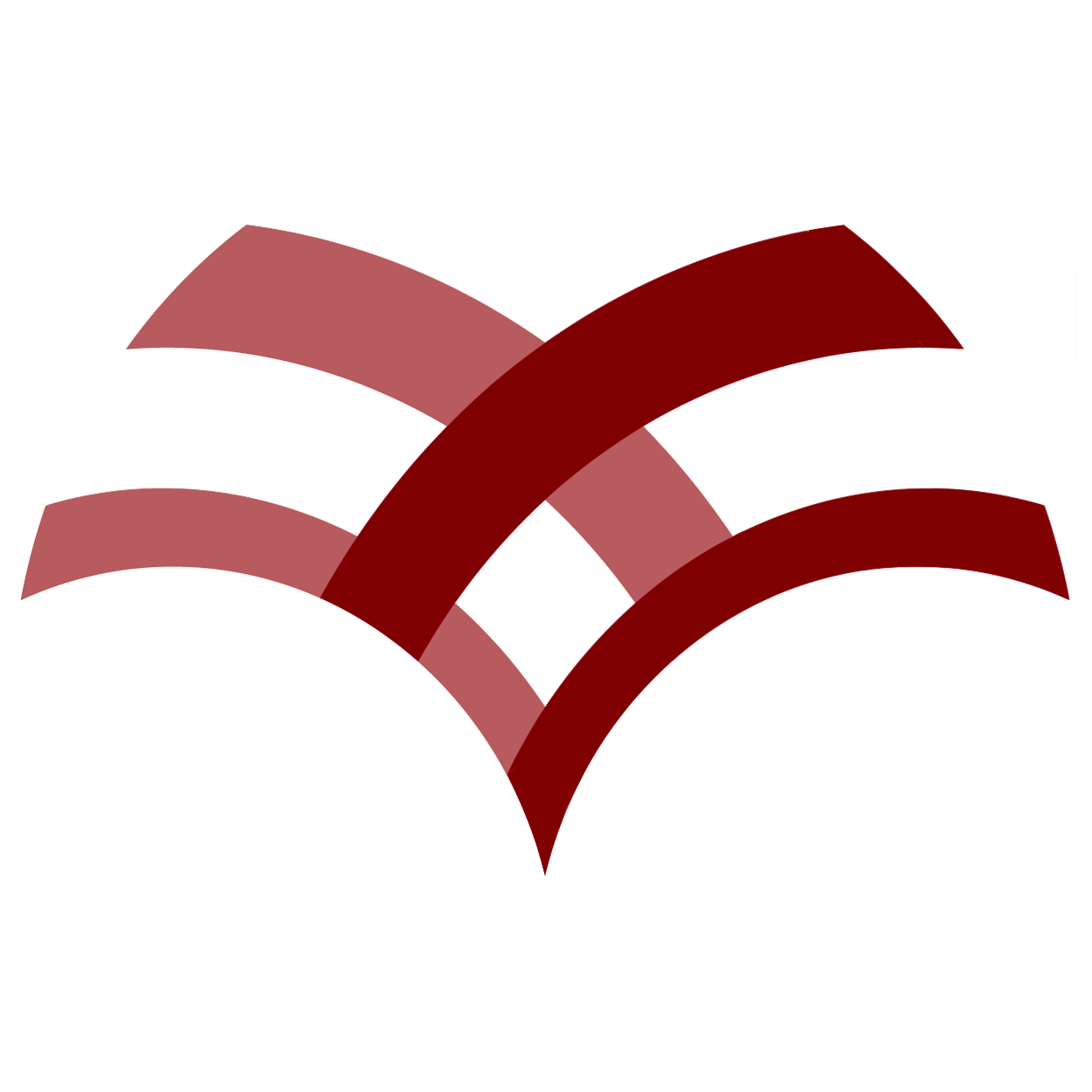 true arch management consulting